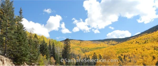 Golden aspens on a mountainside beneath clouds and blue sky