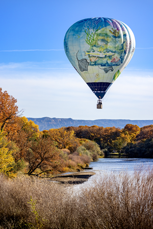 $client_url_words logo2