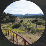 $client_url_words logo2