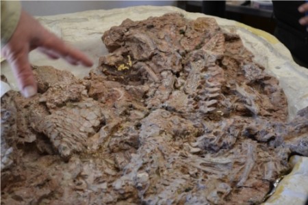 ghost ranch dinosaurs