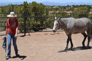 Where's Your Inner Cowgirl? - Santa Fe Selection