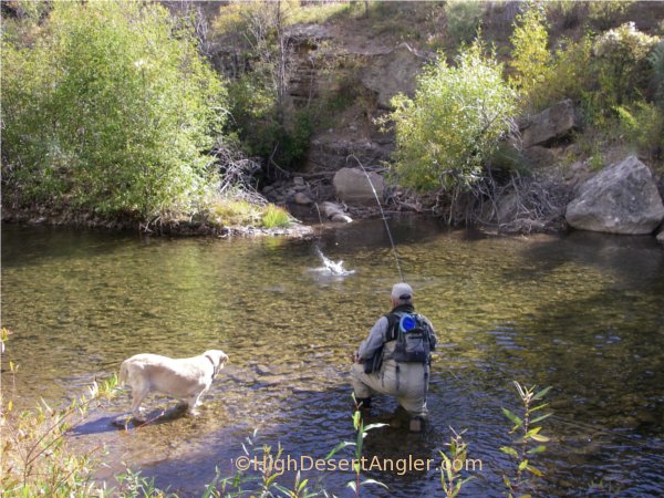 Private Access Stream Fishing New Mexico