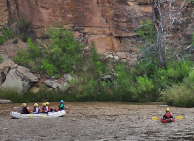 rafting-new-mexico