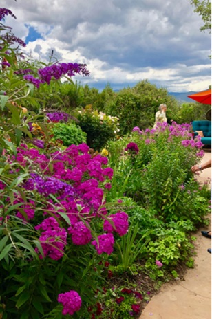 $client_url_words pic2