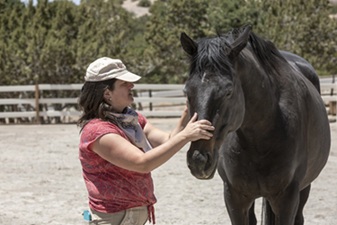 $client_url_words pic2