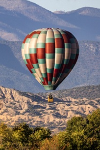 $client_url_words pic2