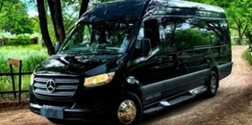 $client_url_words pic2